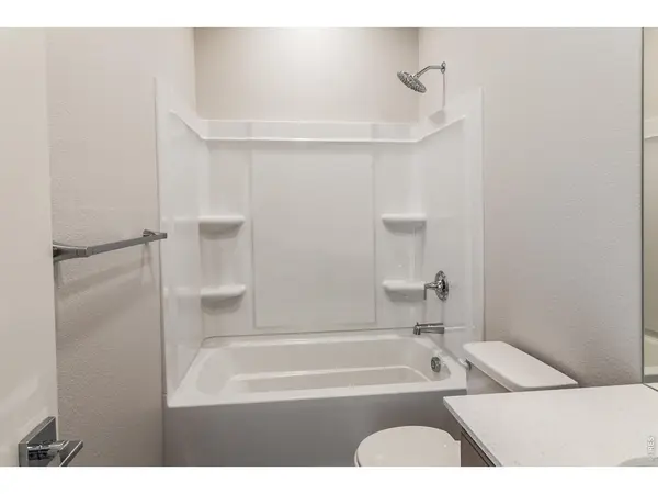 734 Trumpet, Windsor, CO 80550