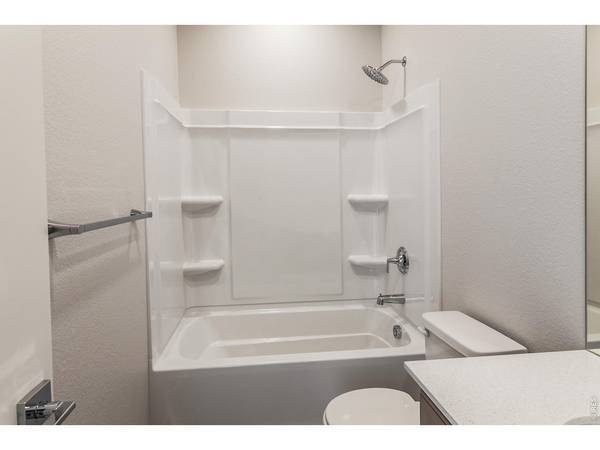 734 Trumpet, Windsor, CO 80550