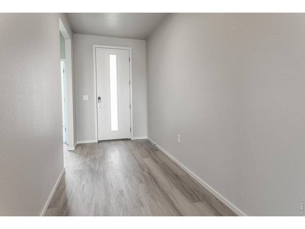 734 Trumpet, Windsor, CO 80550