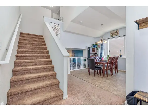 375 Shadowbrook, Windsor, CO 80550