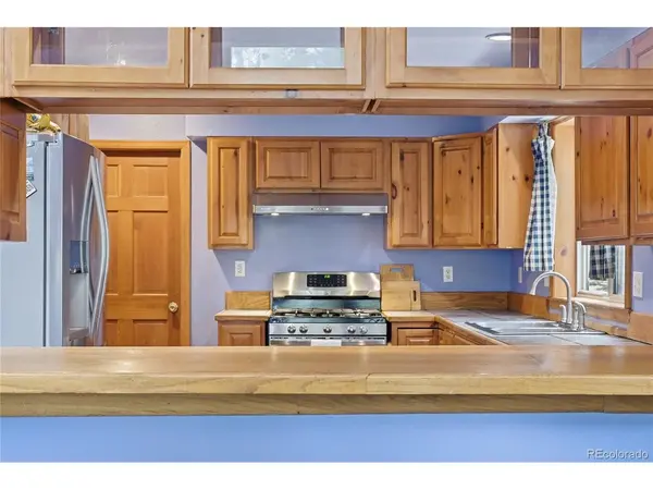 1419 Little Bear Creek, Idaho Springs, CO 80452