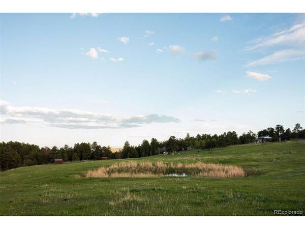 Bear Mountain, Evergreen, CO 80439