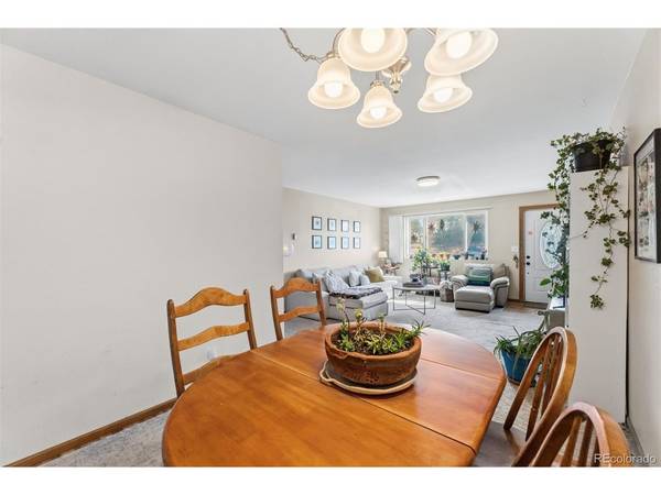 101 S Maple, Leadville, CO 80461