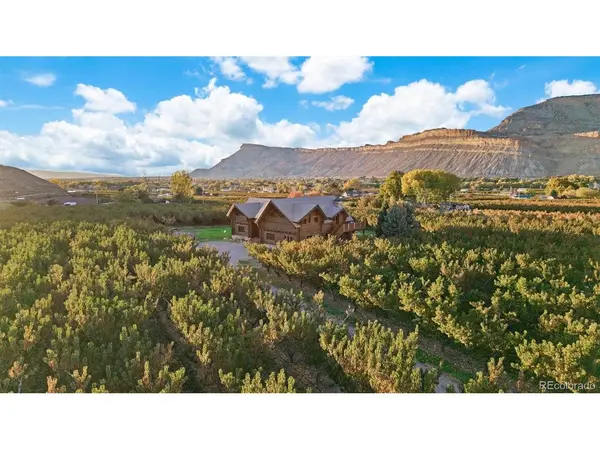 3875 F 3/4, Palisade, CO 81526