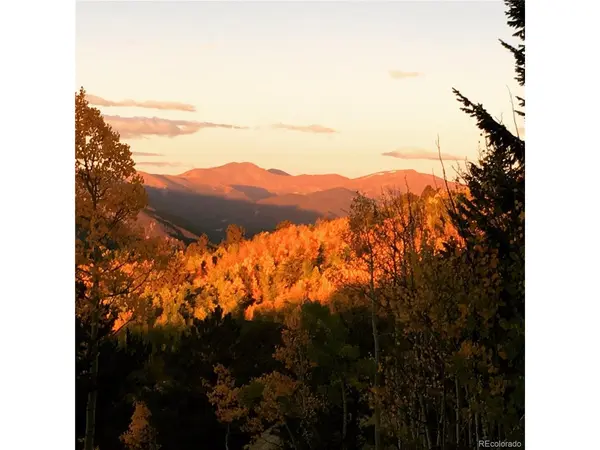 1 Alps Hill, Central City, CO 80427
