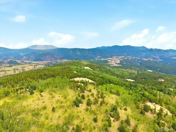 1 Alps Hill, Central City, CO 80427