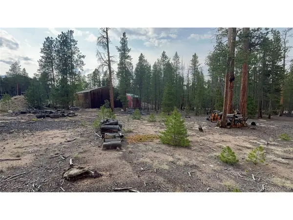 662 Juniper, Leadville, CO 81251