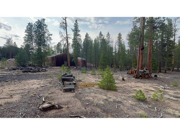 662 Juniper, Leadville, CO 81251