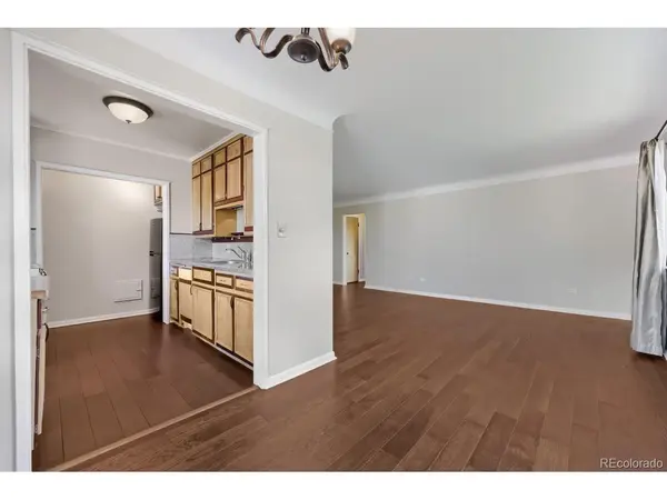 1175 N Emerson #312, Denver, CO 80218