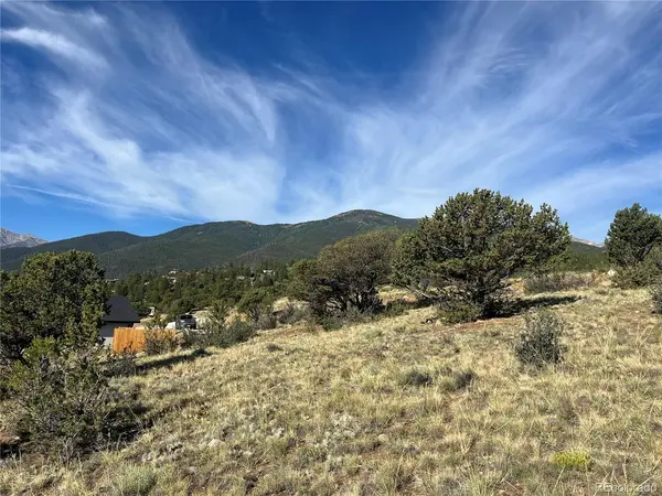 30460 Promontory, Buena Vista, CO 81211