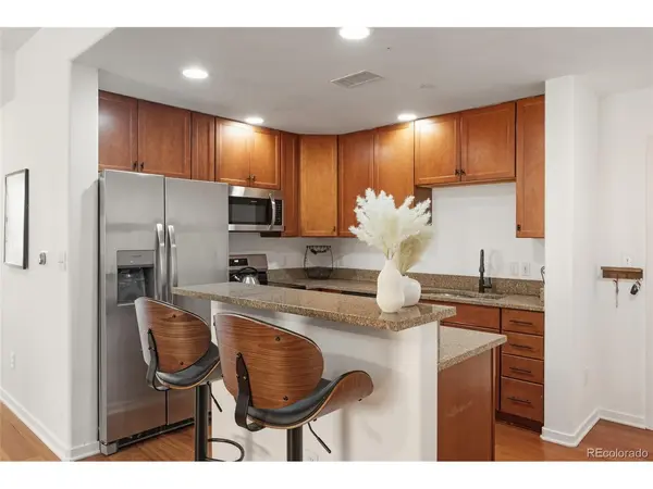 722 Washington #306, Golden, CO 80401