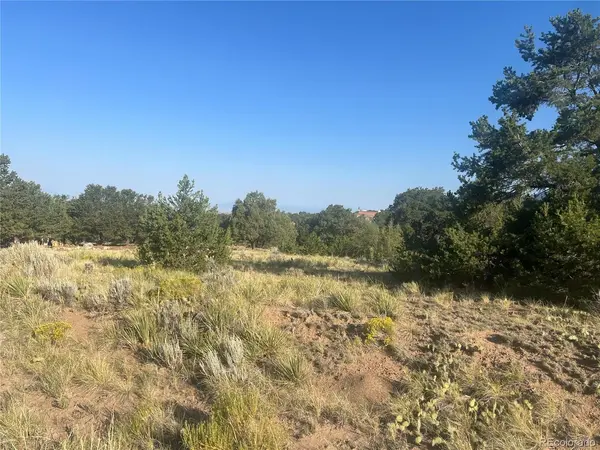 4292 Fallen Tree, Crestone, CO 81131