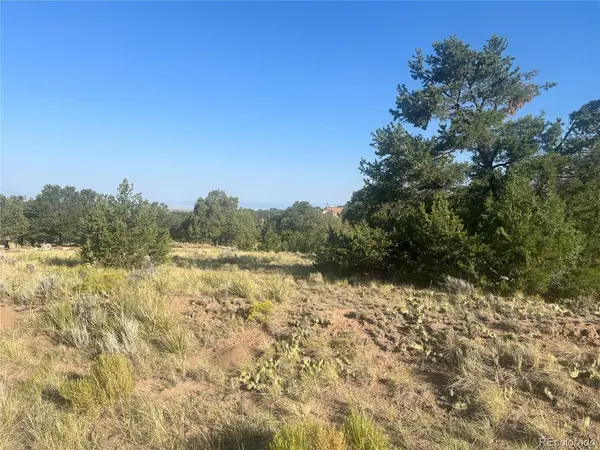 4292 Fallen Tree, Crestone, CO 81131