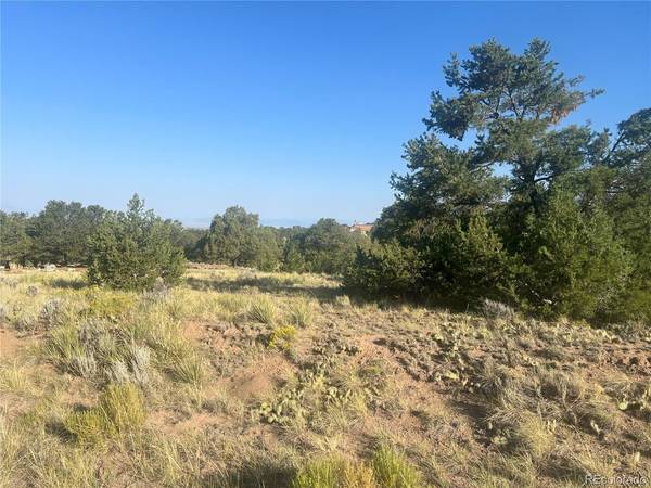 4292 Fallen Tree, Crestone, CO 81131