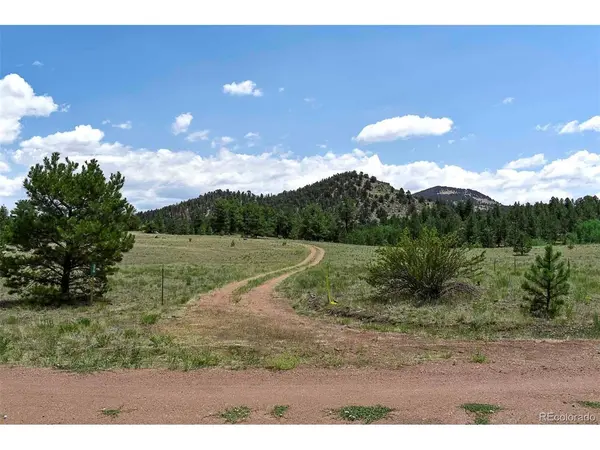 376 Copeland, Guffey, CO 80820