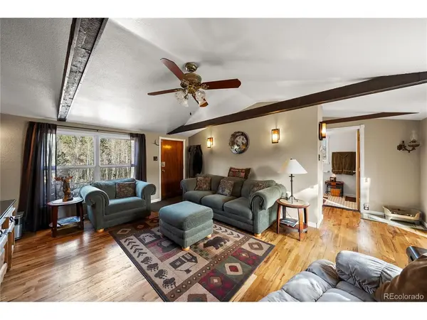 106 Elk, Bailey, CO 80421