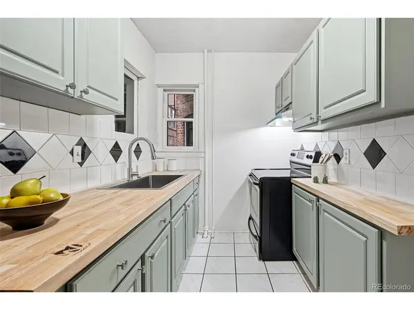 1137 N Sherman #7, Denver, CO 80203