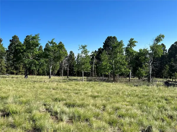 9430 Ranch Road, Hartsel, CO 80449