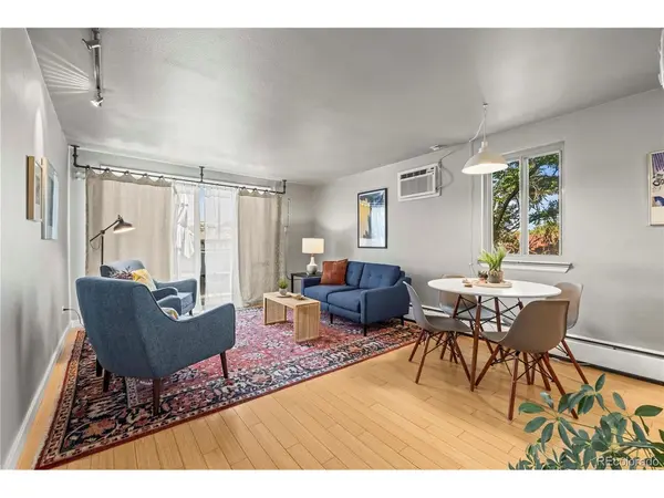 271 N Grant #303, Denver, CO 80203