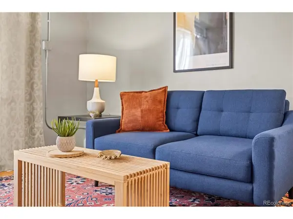 271 N Grant #303, Denver, CO 80203