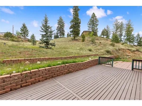 350 Brooks, Woodland Park, CO 80863