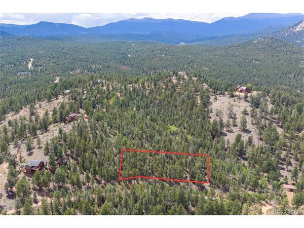 12397 S Cindy, Pine, CO 80470