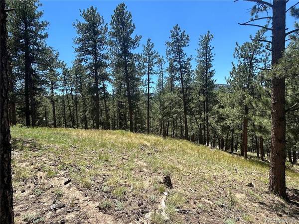 0 pine, Evergreen, CO 80439
