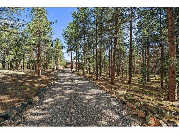 13183 S Piute, Pine, CO 80470