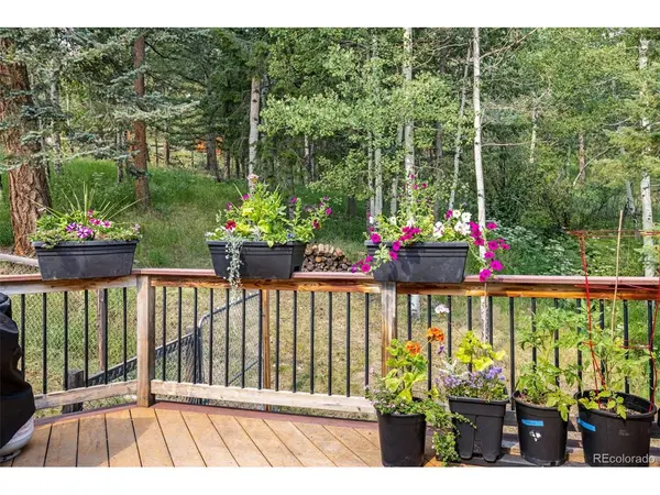 31547 Niakwa, Evergreen, CO 80439