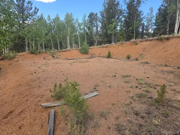 1124 Yorktown, Cripple Creek, CO 80813