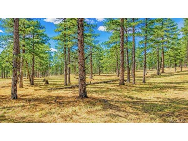 196 Freeman, Florissant, CO 80816