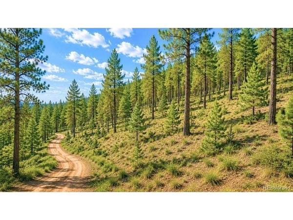 196 Freeman, Florissant, CO 80816