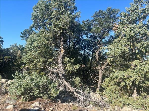 3587 Alfresco, Crestone, CO 81131