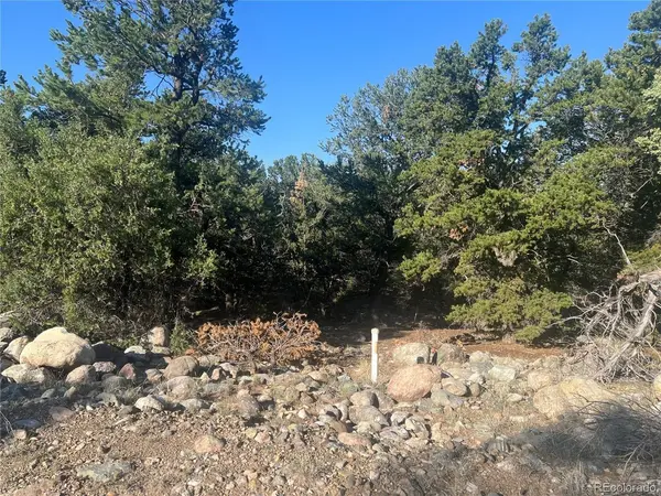 3587 Alfresco, Crestone, CO 81131