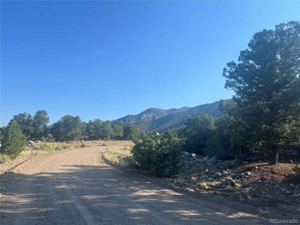 3587 Alfresco, Crestone, CO 81131