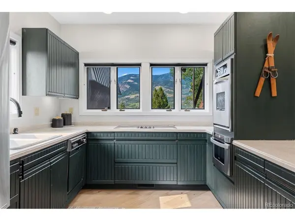 457 Summerwood #D, Dillon, CO 80435