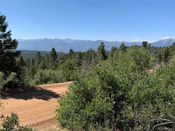 54 Oak, Cotopaxi, CO 81223