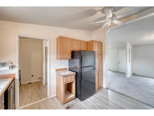 185 Connie, Buena Vista, CO 81211