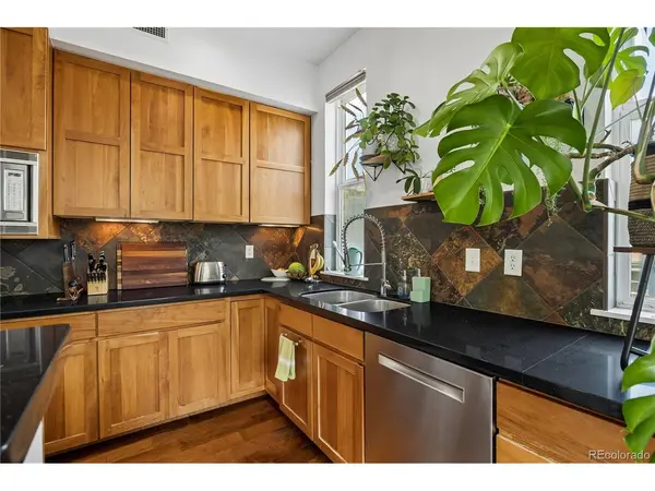 1738 N Franklin #3D, Denver, CO 80218
