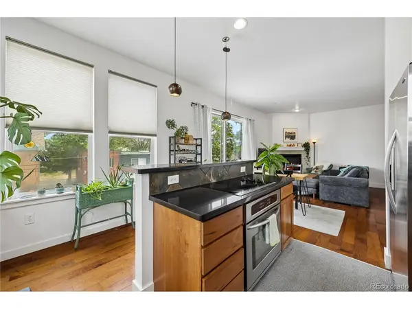 1738 N Franklin #3D, Denver, CO 80218