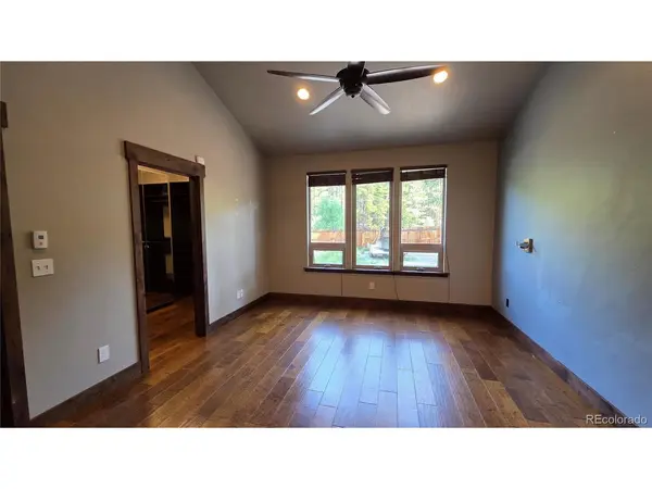 919 Copper, Leadville, CO 80461