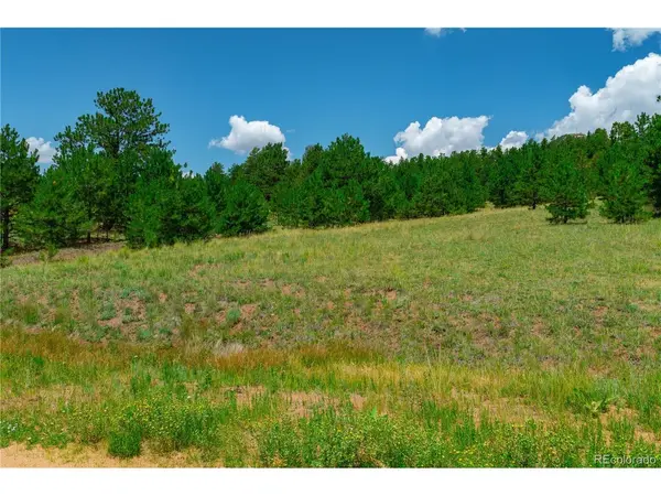 28 Penrose, Cripple Creek, CO 80813