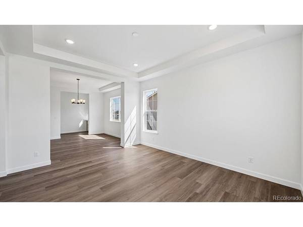 1667 Green Fern, Castle Rock, CO 80104