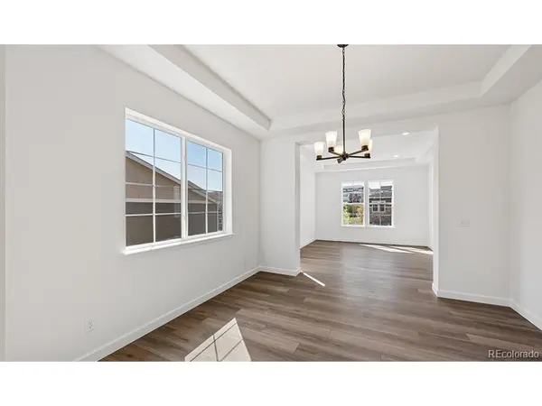 1667 Green Fern, Castle Rock, CO 80104