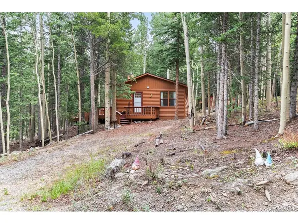 31 Aspen Loop, Idaho Springs, CO 80452
