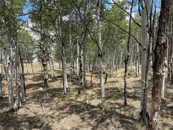 832 Ahlers, Hartsel, CO 80449