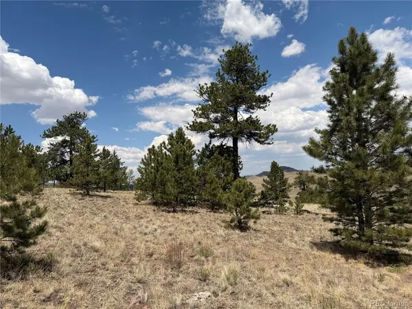 832 Ahlers, Hartsel, CO 80449