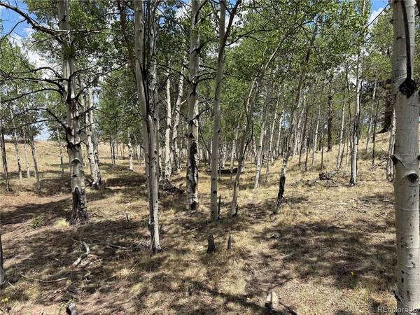 832 Ahlers, Hartsel, CO 80449