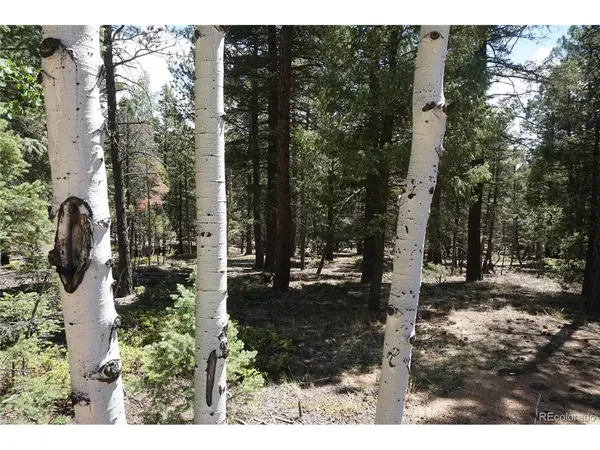 616 Indian Creek, Florissant, CO 80816