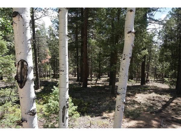 616 Indian Creek, Florissant, CO 80816